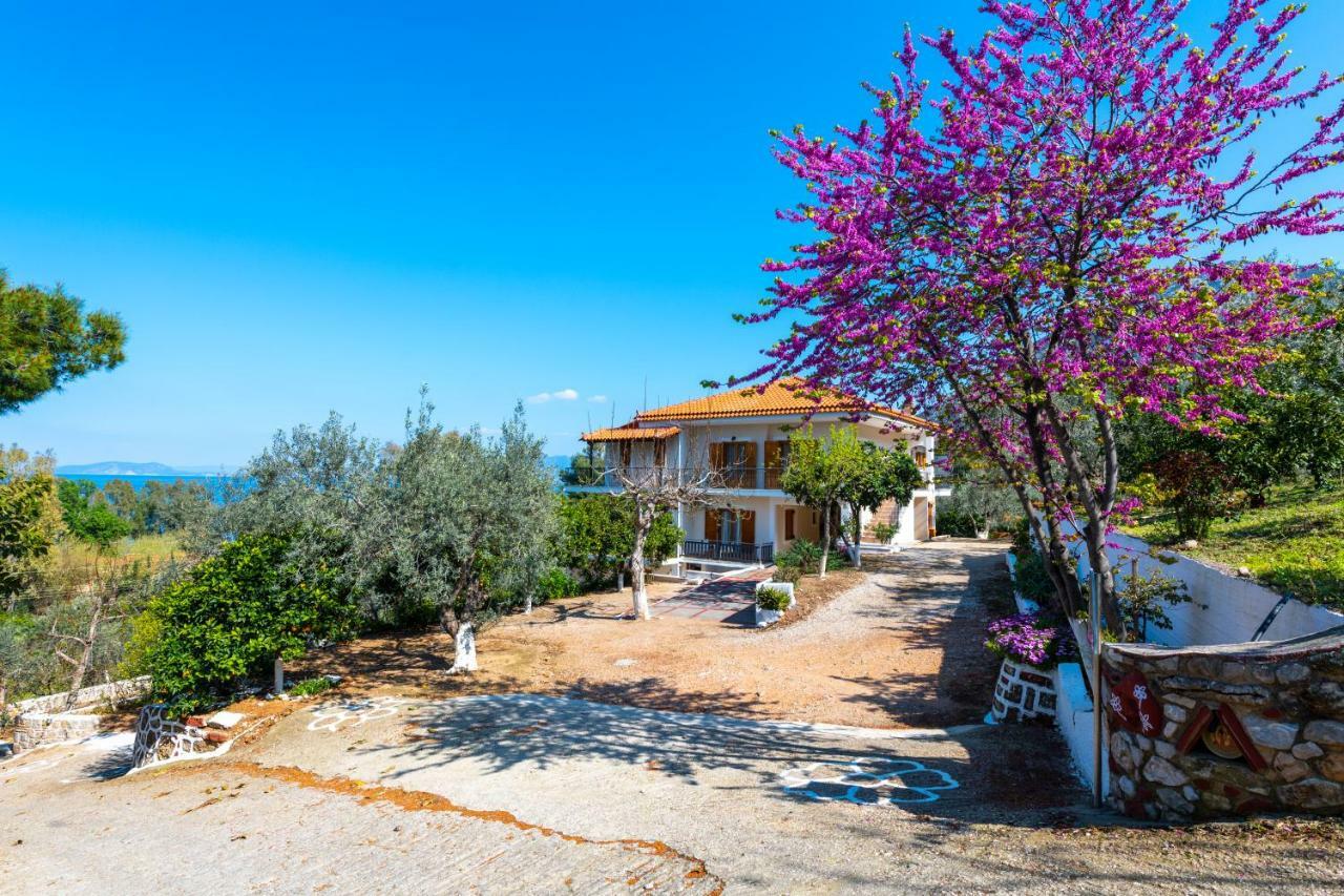 Maria Apartments Studios Epidavros Epidaurus Eksteriør billede